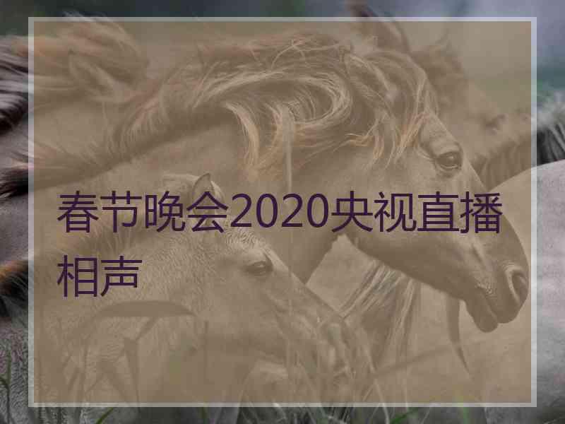 春节晚会2020央视直播相声