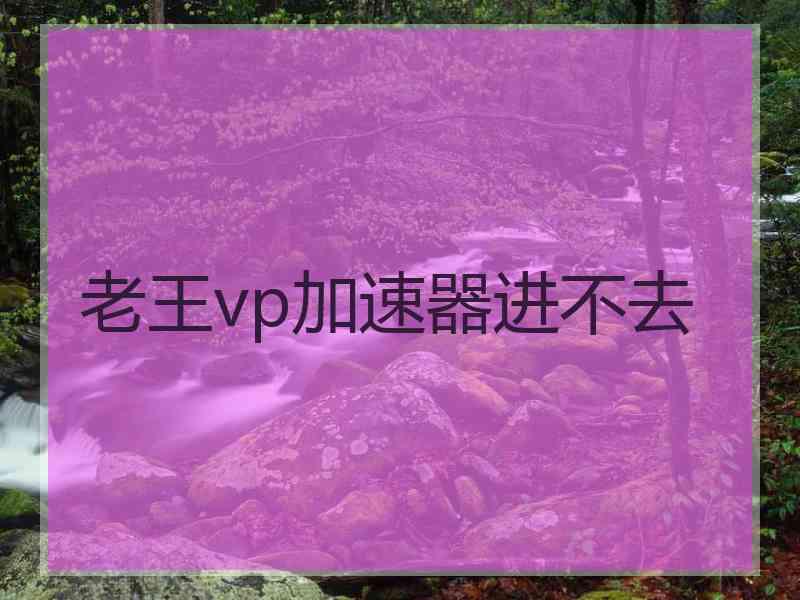 老王vp加速器进不去