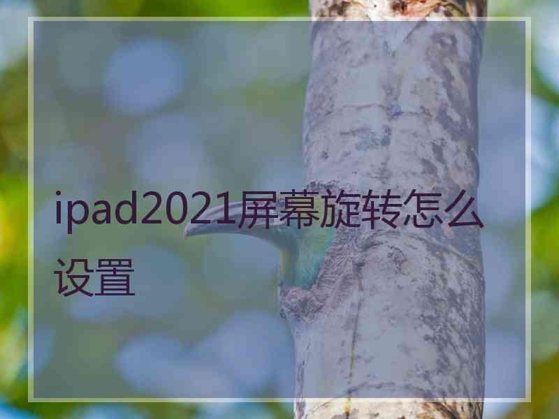 ipad2021屏幕旋转怎么设置