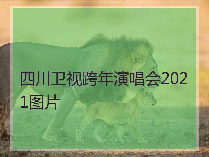 四川卫视跨年演唱会2021图片