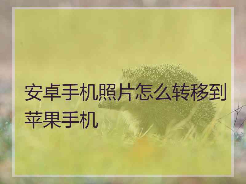 安卓手机照片怎么转移到苹果手机