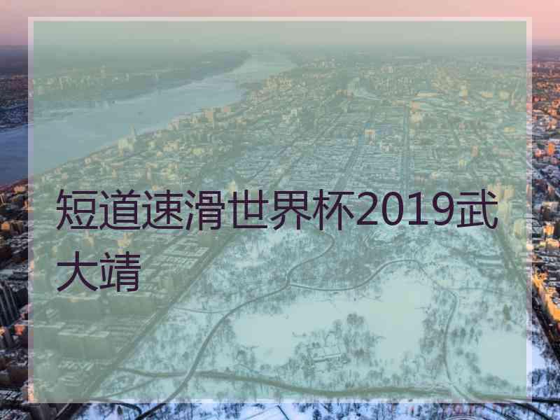 短道速滑世界杯2019武大靖