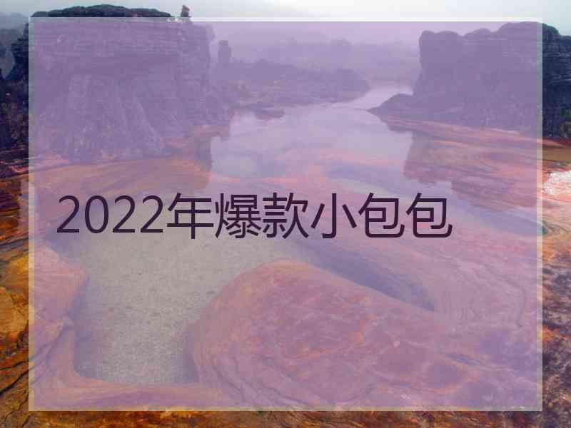 2022年爆款小包包