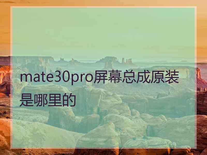 mate30pro屏幕总成原装是哪里的