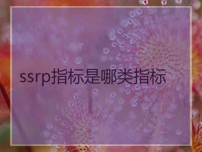 ssrp指标是哪类指标