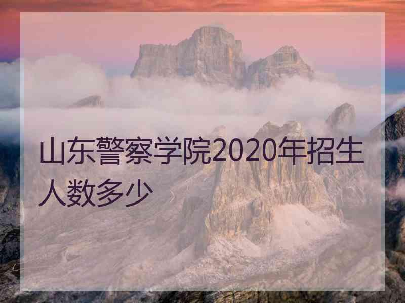 山东警察学院2020年招生人数多少