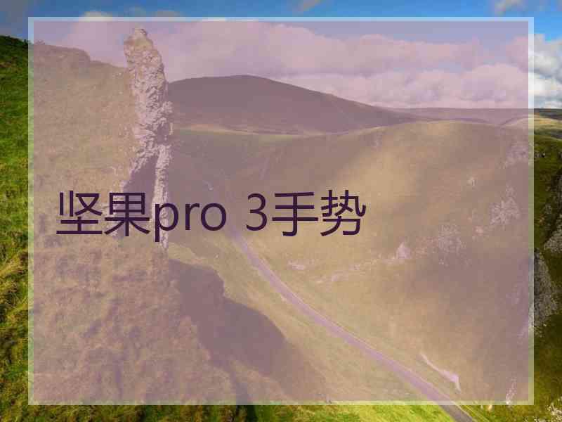 坚果pro 3手势