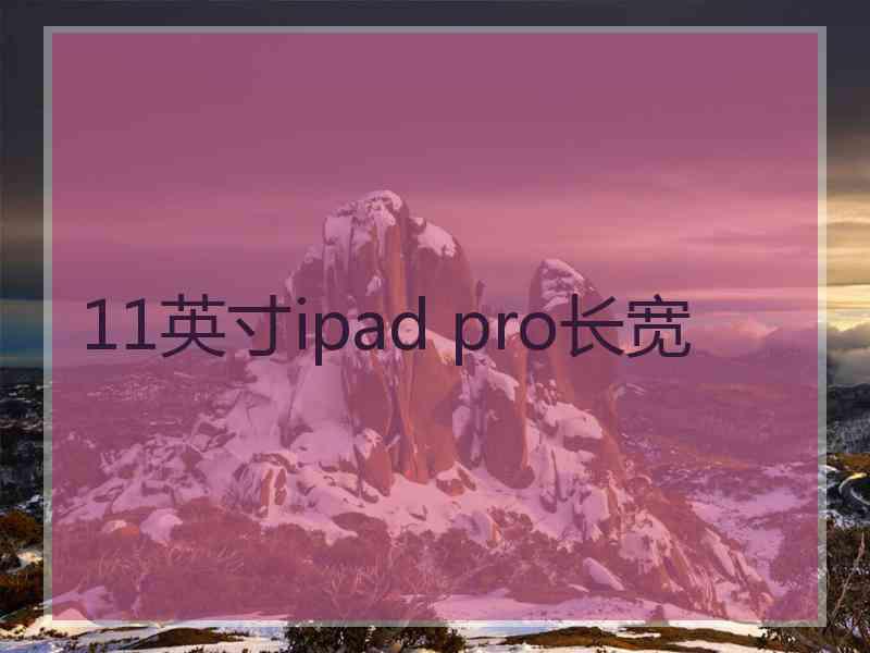 11英寸ipad pro长宽