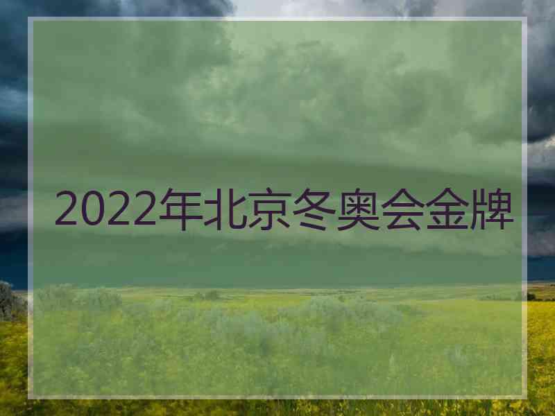 2022年北京冬奥会金牌