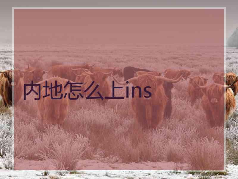 内地怎么上ins