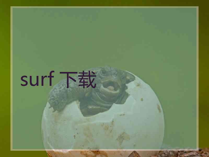 surf 下载