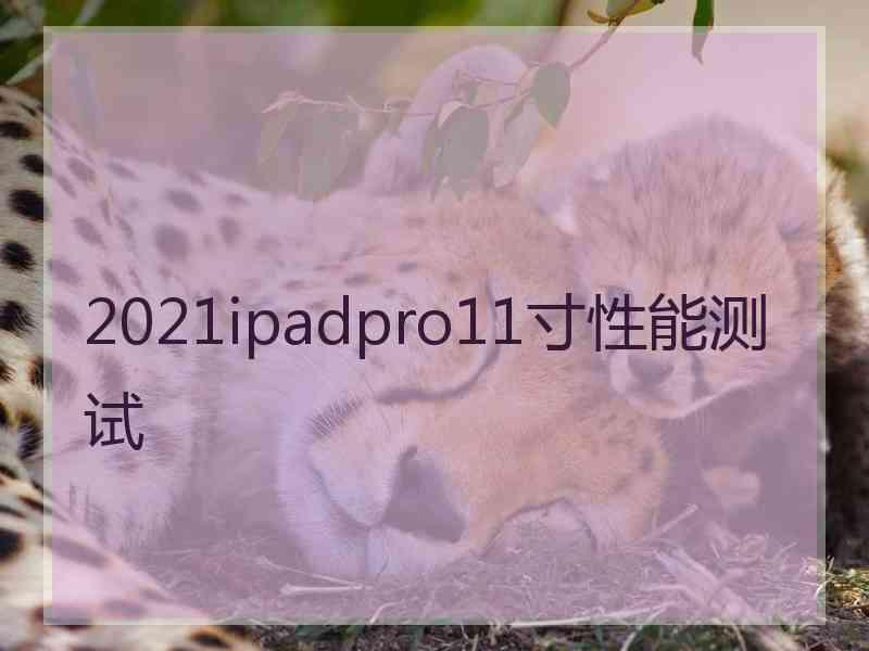 2021ipadpro11寸性能测试