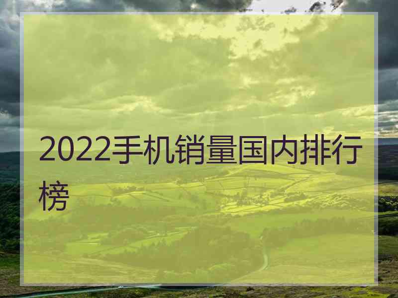 2022手机销量国内排行榜