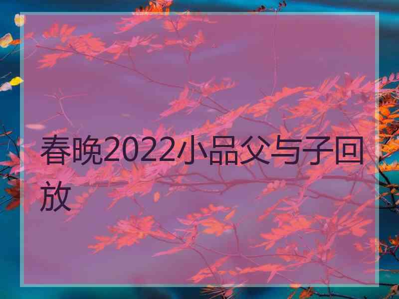 春晚2022小品父与子回放