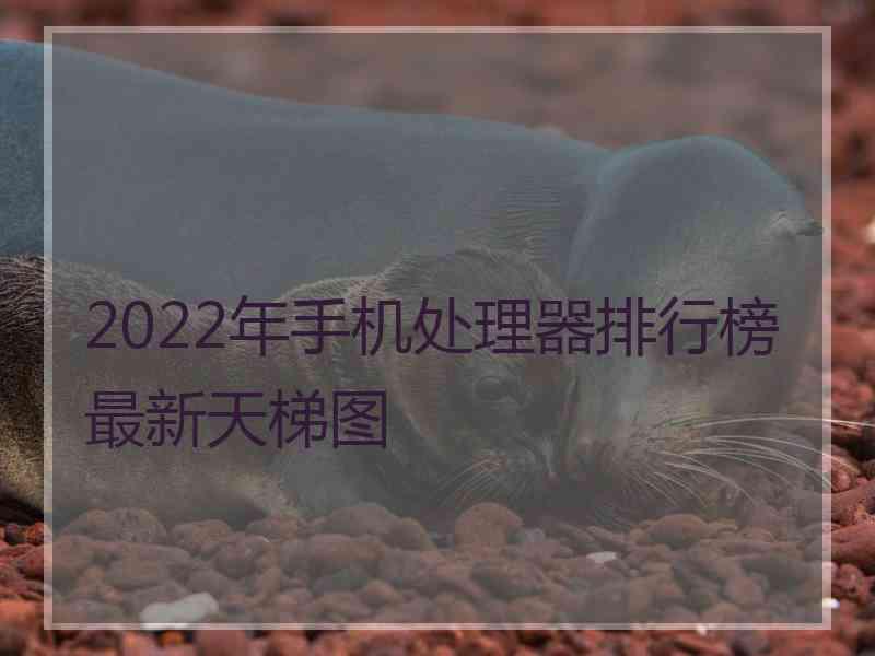 2022年手机处理器排行榜最新天梯图