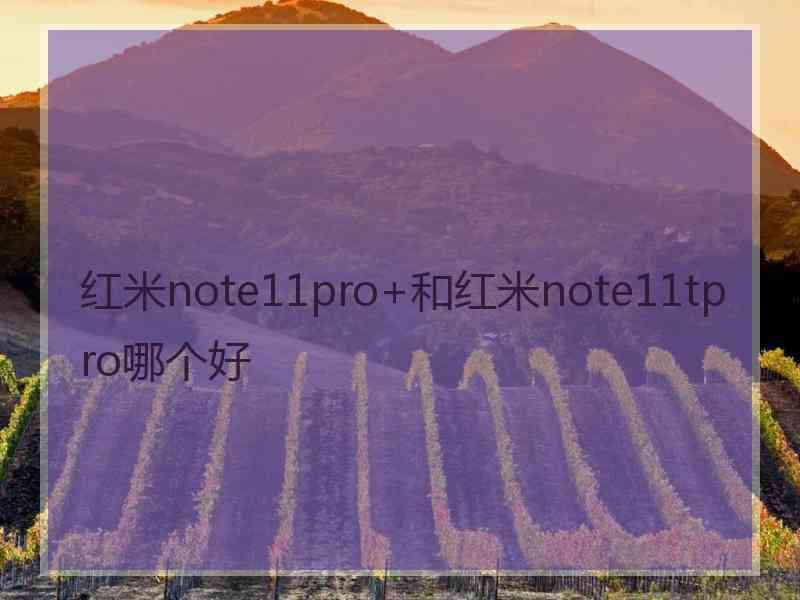 红米note11pro+和红米note11tpro哪个好