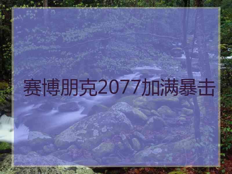 赛博朋克2077加满暴击