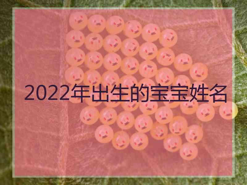 2022年出生的宝宝姓名