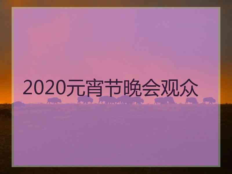 2020元宵节晚会观众