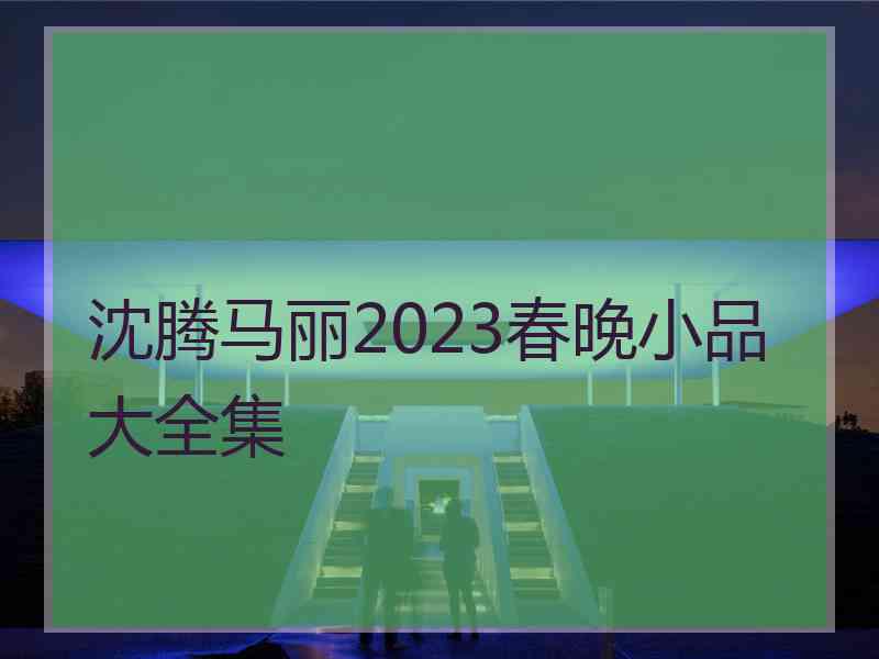 沈腾马丽2023春晚小品大全集