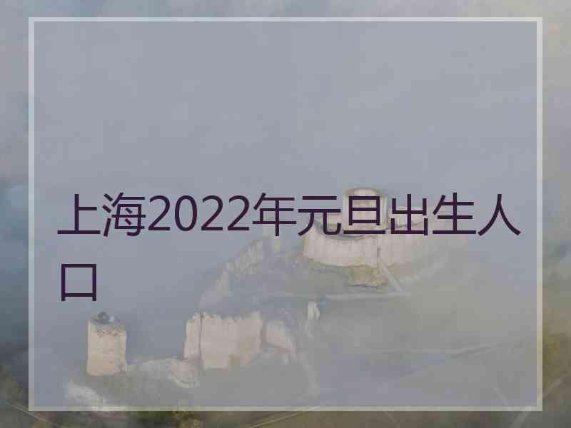 上海2022年元旦出生人口