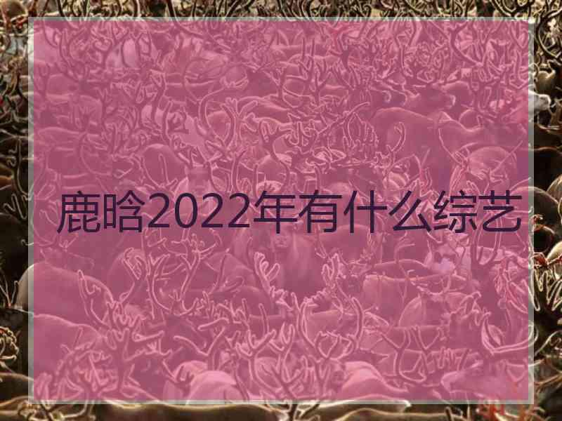 鹿晗2022年有什么综艺