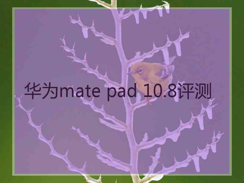 华为mate pad 10.8评测