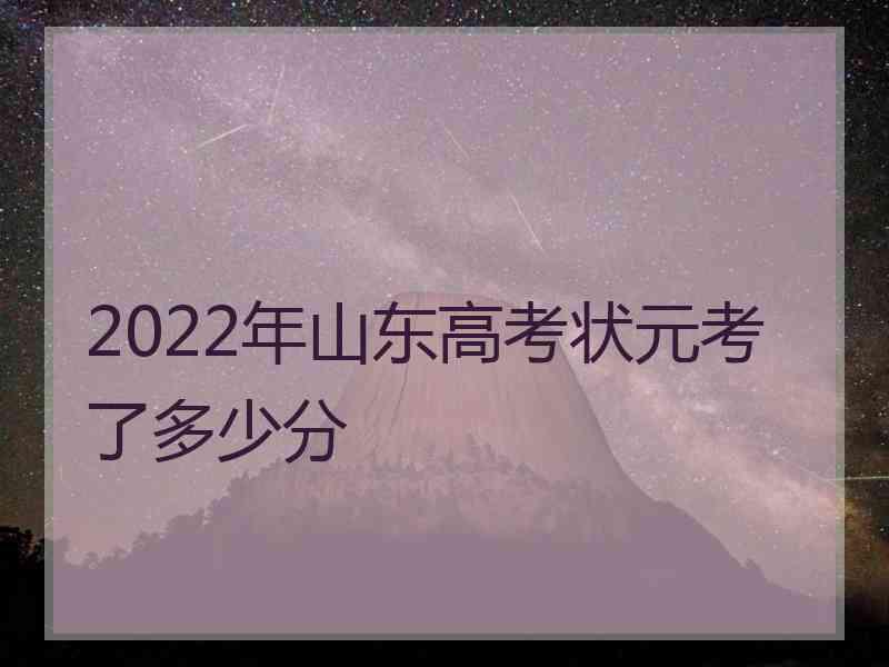 2022年山东高考状元考了多少分