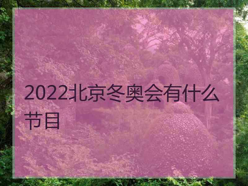 2022北京冬奥会有什么节目