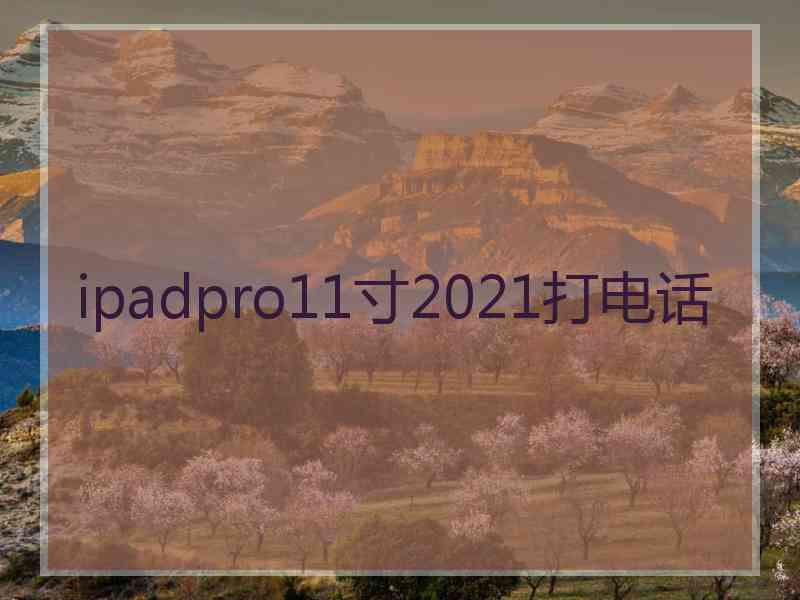 ipadpro11寸2021打电话