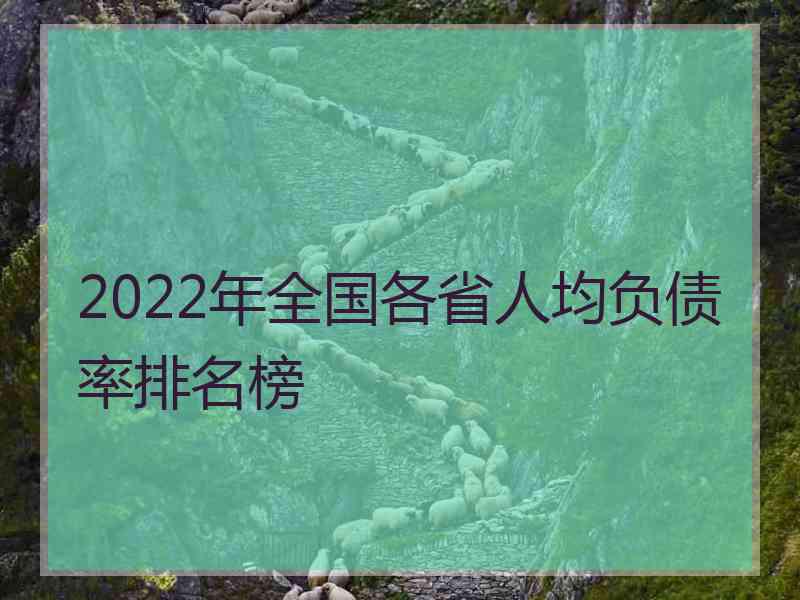 2022年全国各省人均负债率排名榜