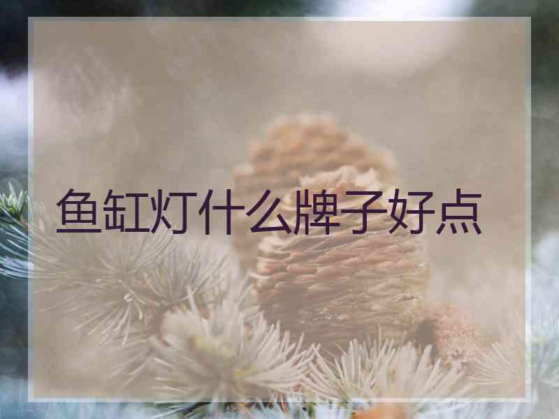 鱼缸灯什么牌子好点