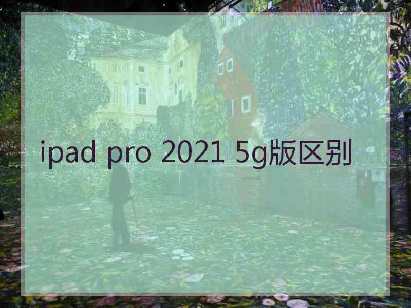 ipad pro 2021 5g版区别