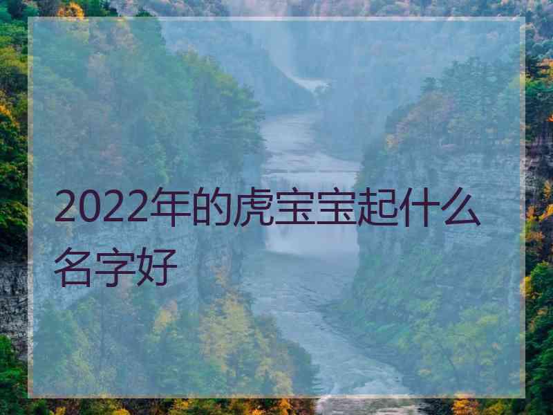 2022年的虎宝宝起什么名字好