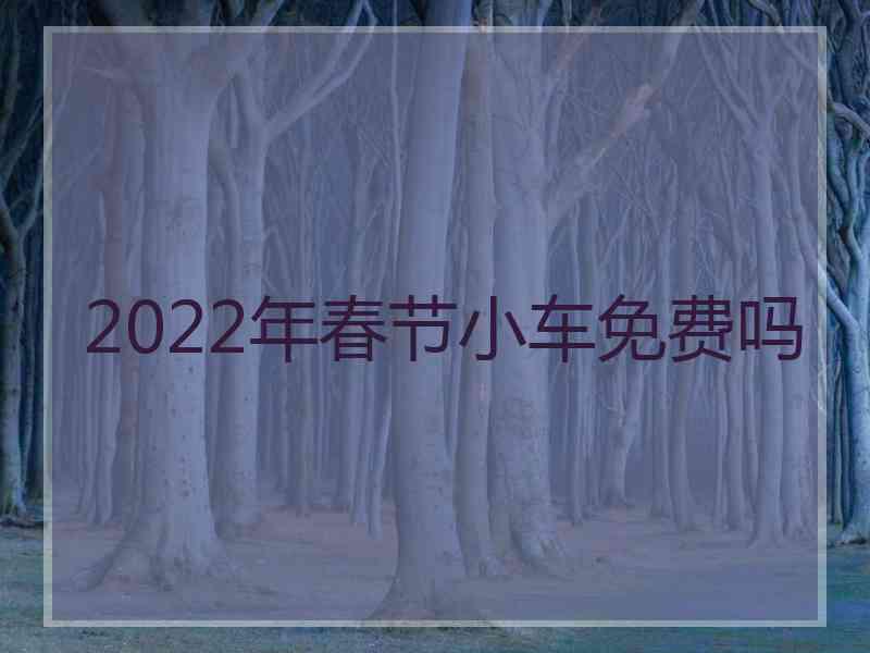 2022年春节小车免费吗