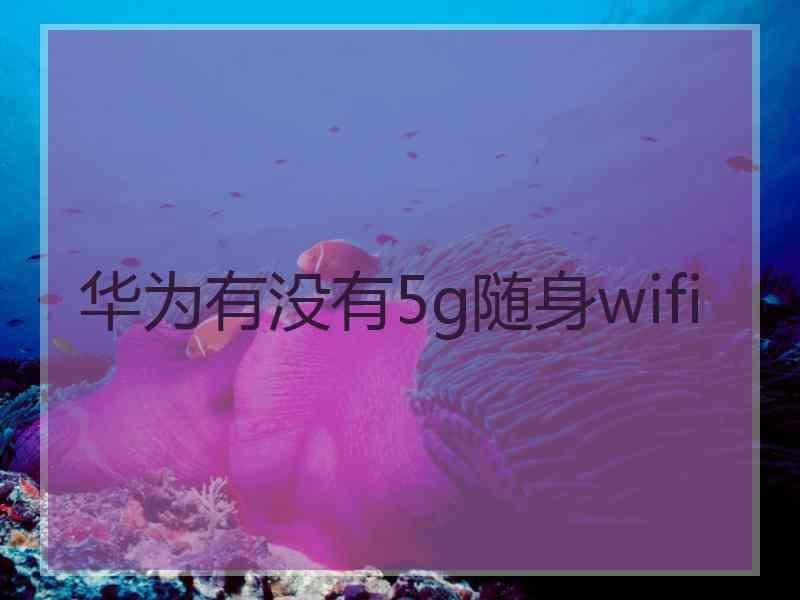 华为有没有5g随身wifi