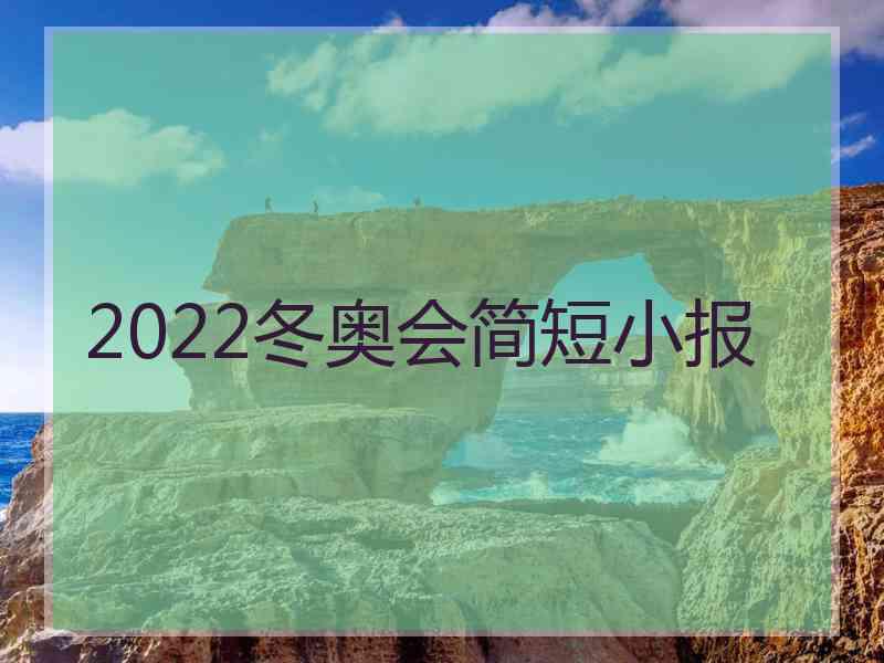 2022冬奥会简短小报