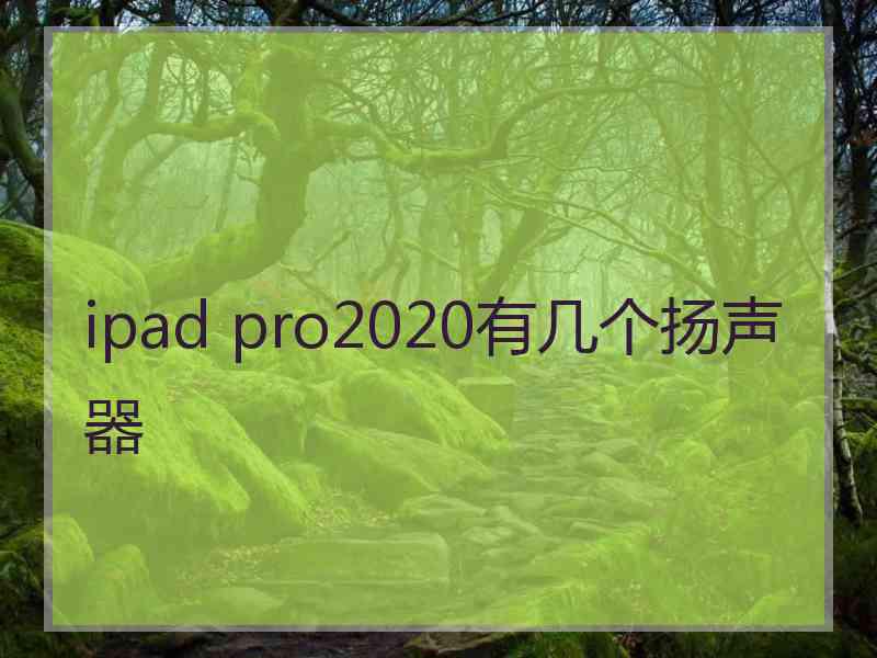 ipad pro2020有几个扬声器