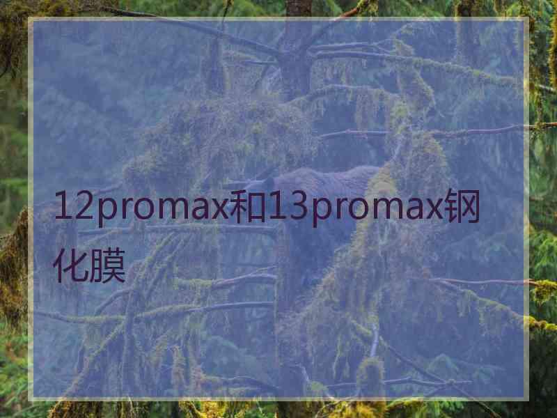 12promax和13promax钢化膜