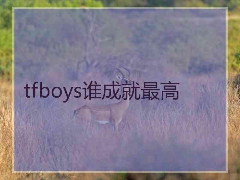 tfboys谁成就最高