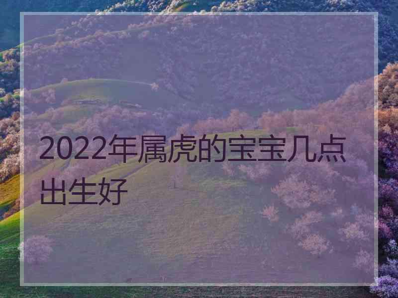 2022年属虎的宝宝几点出生好