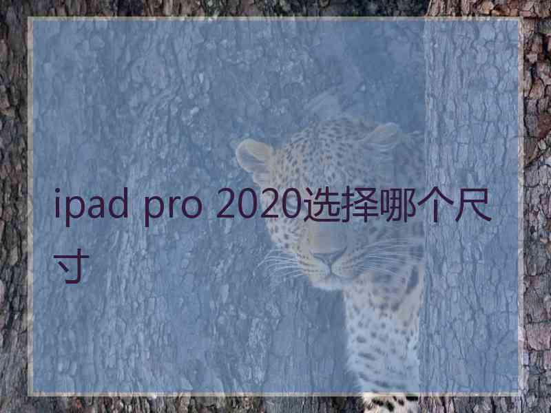 ipad pro 2020选择哪个尺寸