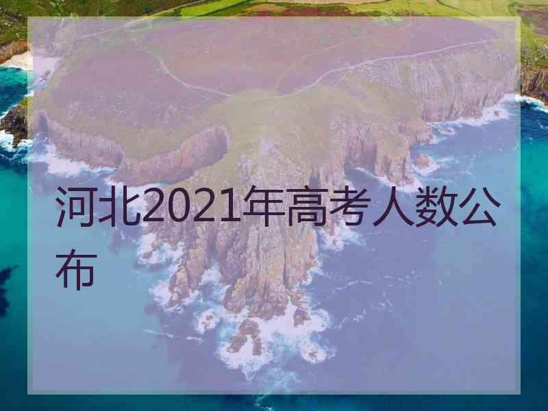 河北2021年高考人数公布