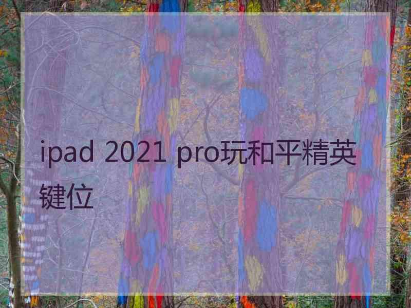 ipad 2021 pro玩和平精英键位