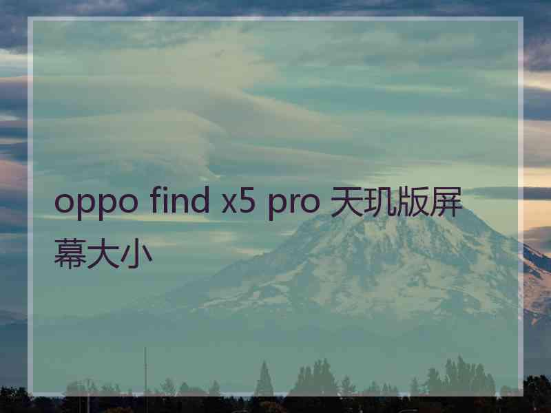 oppo find x5 pro 天玑版屏幕大小