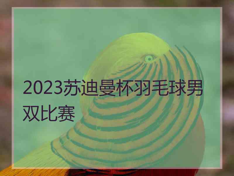 2023苏迪曼杯羽毛球男双比赛