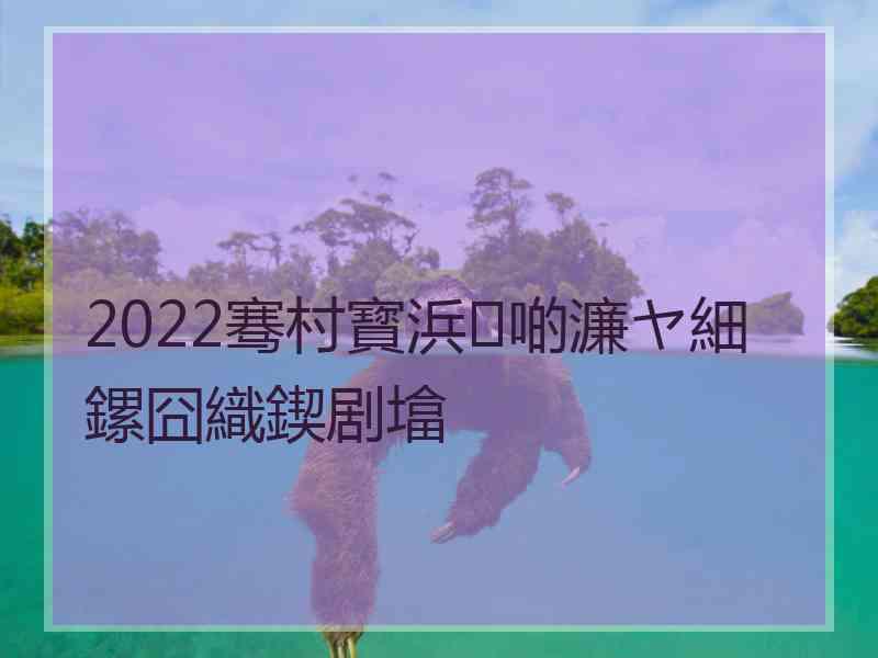 2022骞村寳浜啲濂ヤ細鏍囧織鍥剧墖