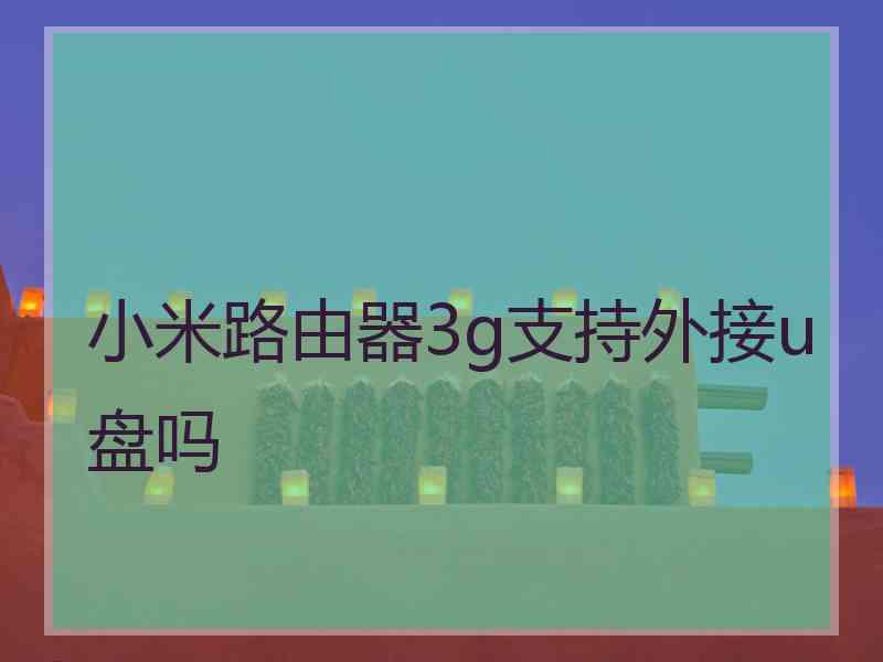 小米路由器3g支持外接u盘吗