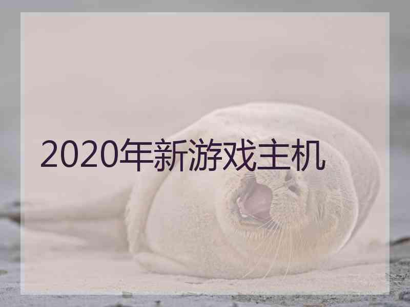 2020年新游戏主机