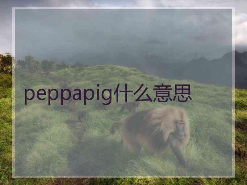 peppapig什么意思